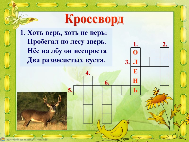 Кроссворд 1. Хоть верь, хоть не верь:      Пробегал по